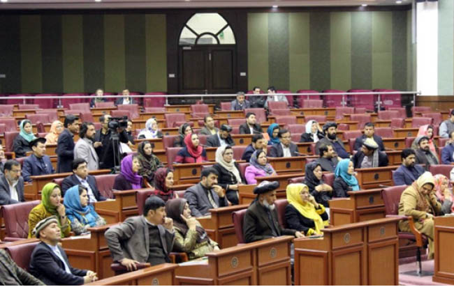 Wolesi Jirga Approves Medical Council Draft Law